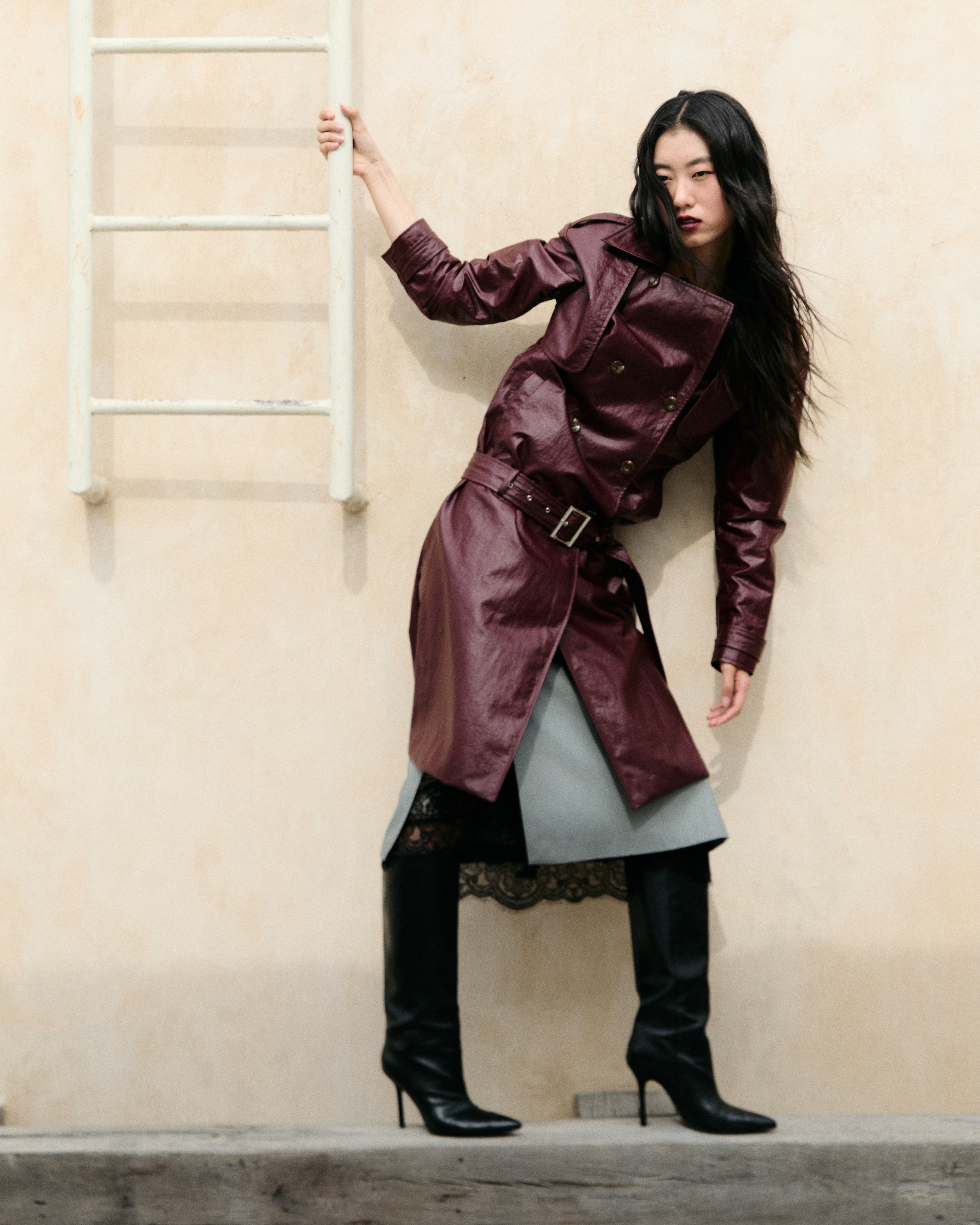 Rich Merlot Coat